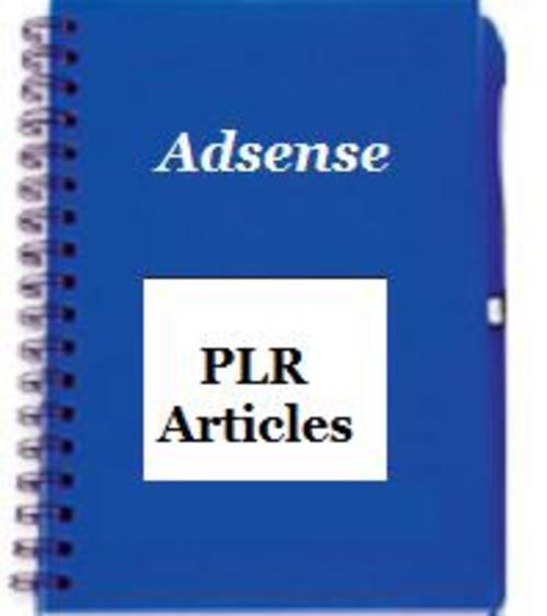 Product picture A large pool of articles in Adsense